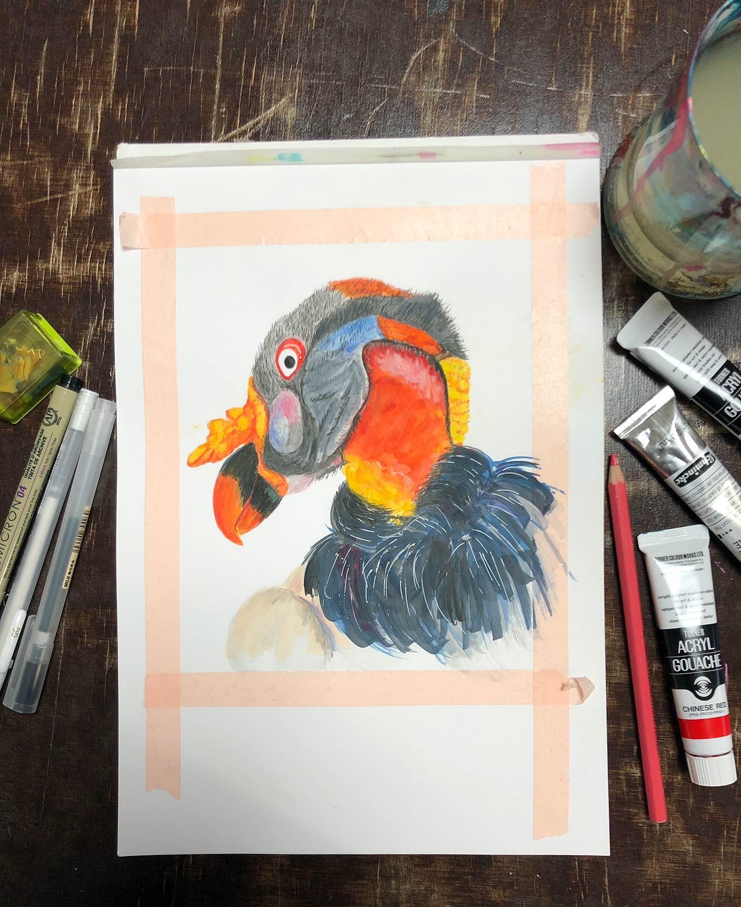 King vulture - mixed media - image 4 - student project