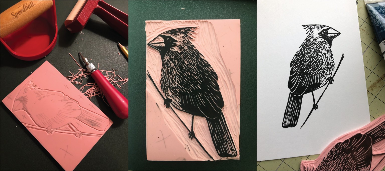 Cardinals Rule - image 1 - student project
