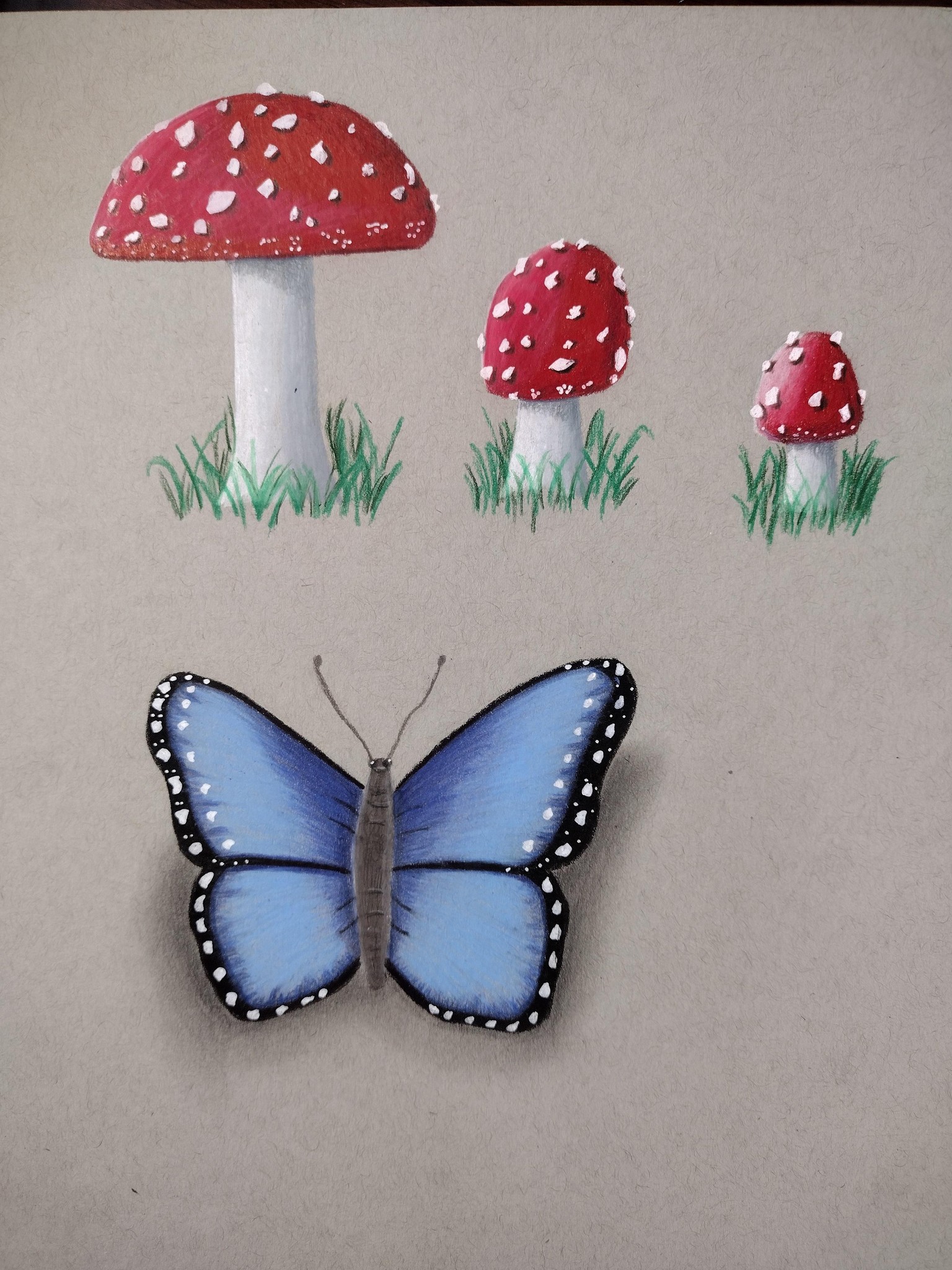 Mushrooms, butterfly, glass, nail polish - image 1 - student project