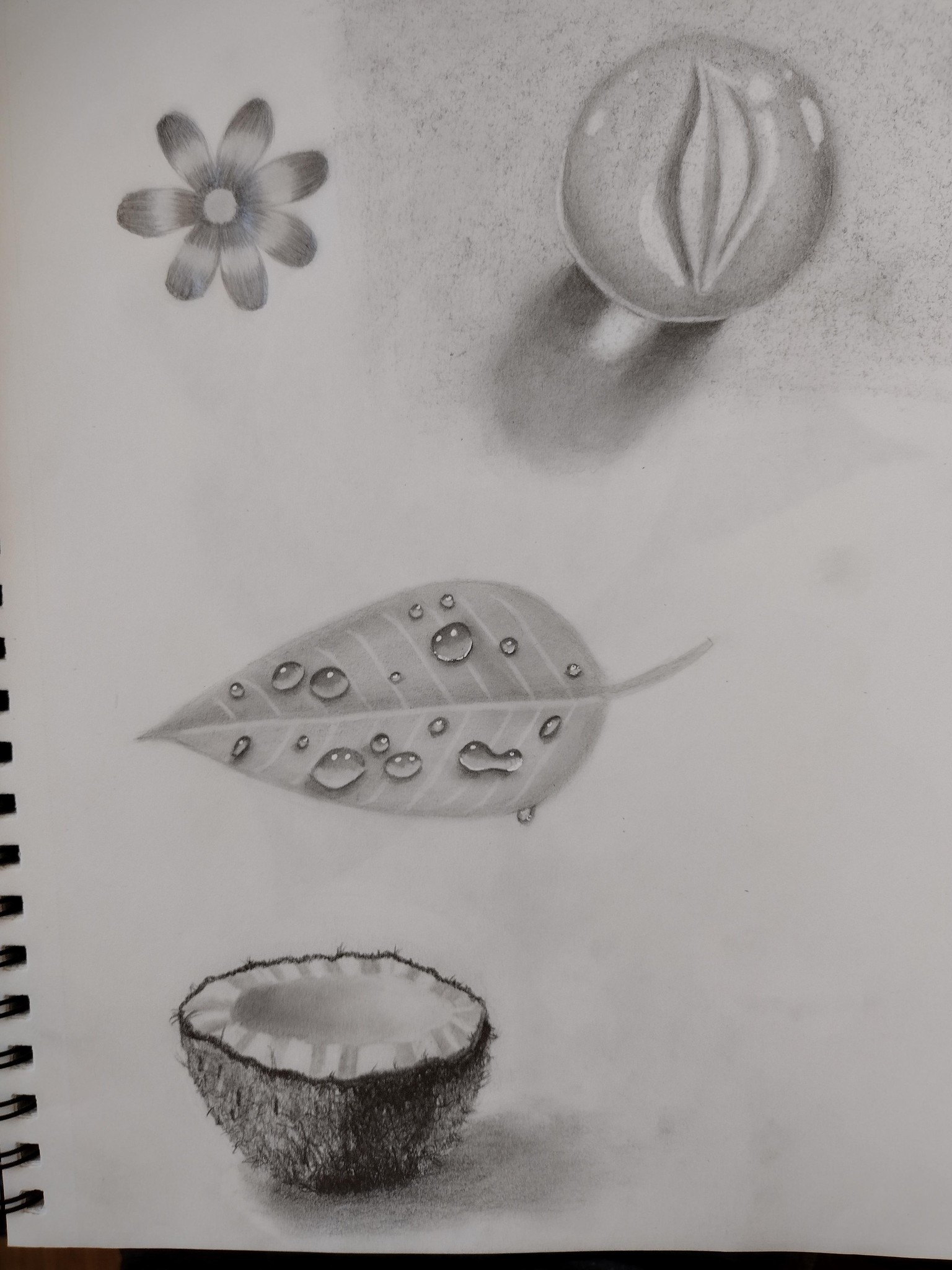 Marble, Leaf and Coconut - image 1 - student project