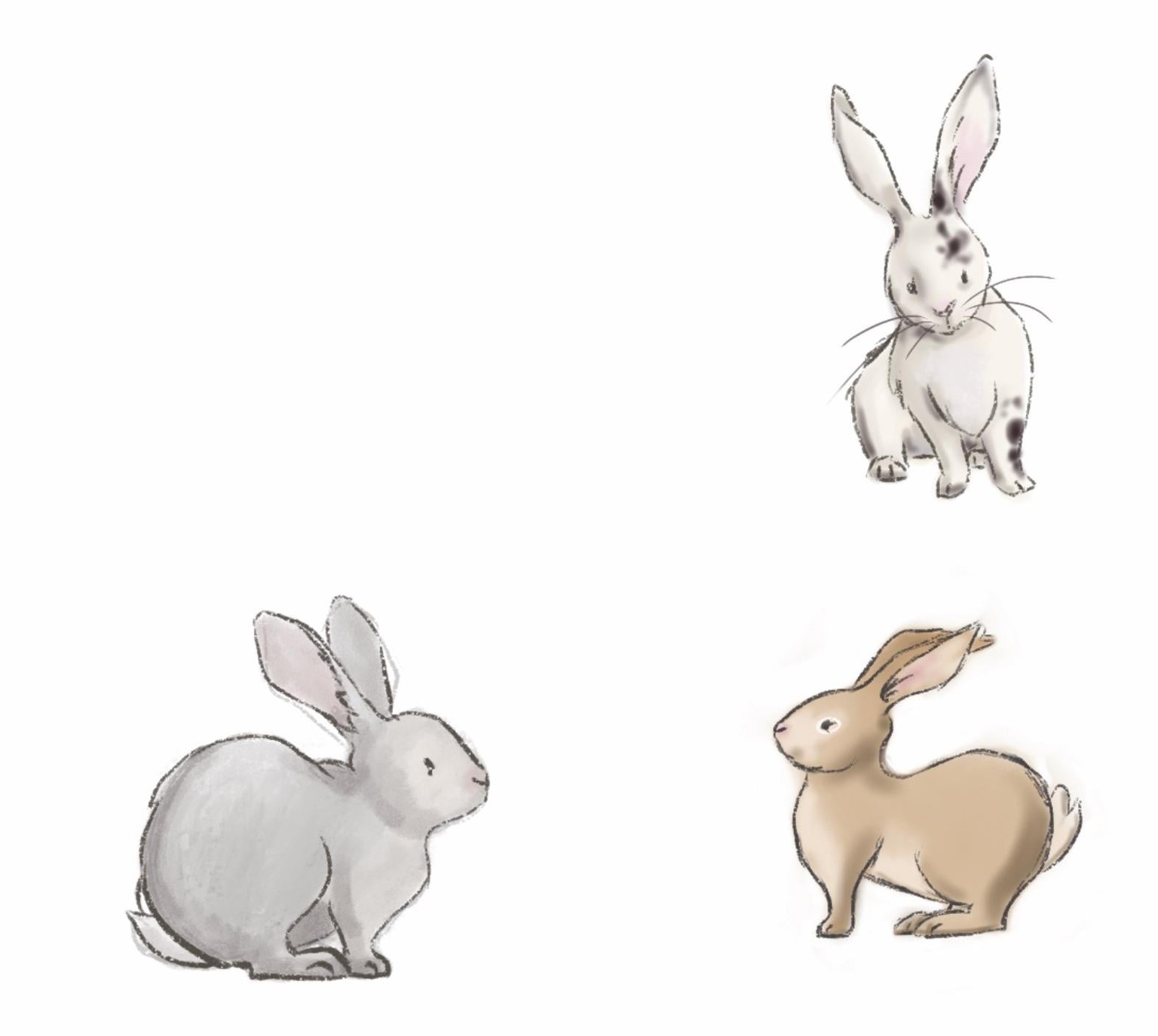 Digital bunnies! - image 1 - student project