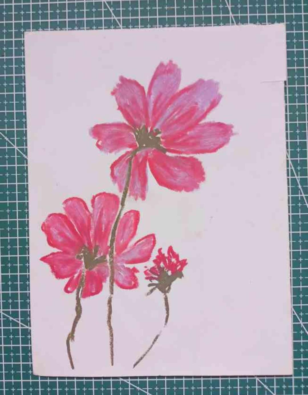 Cosmos flowers - image 2 - student project
