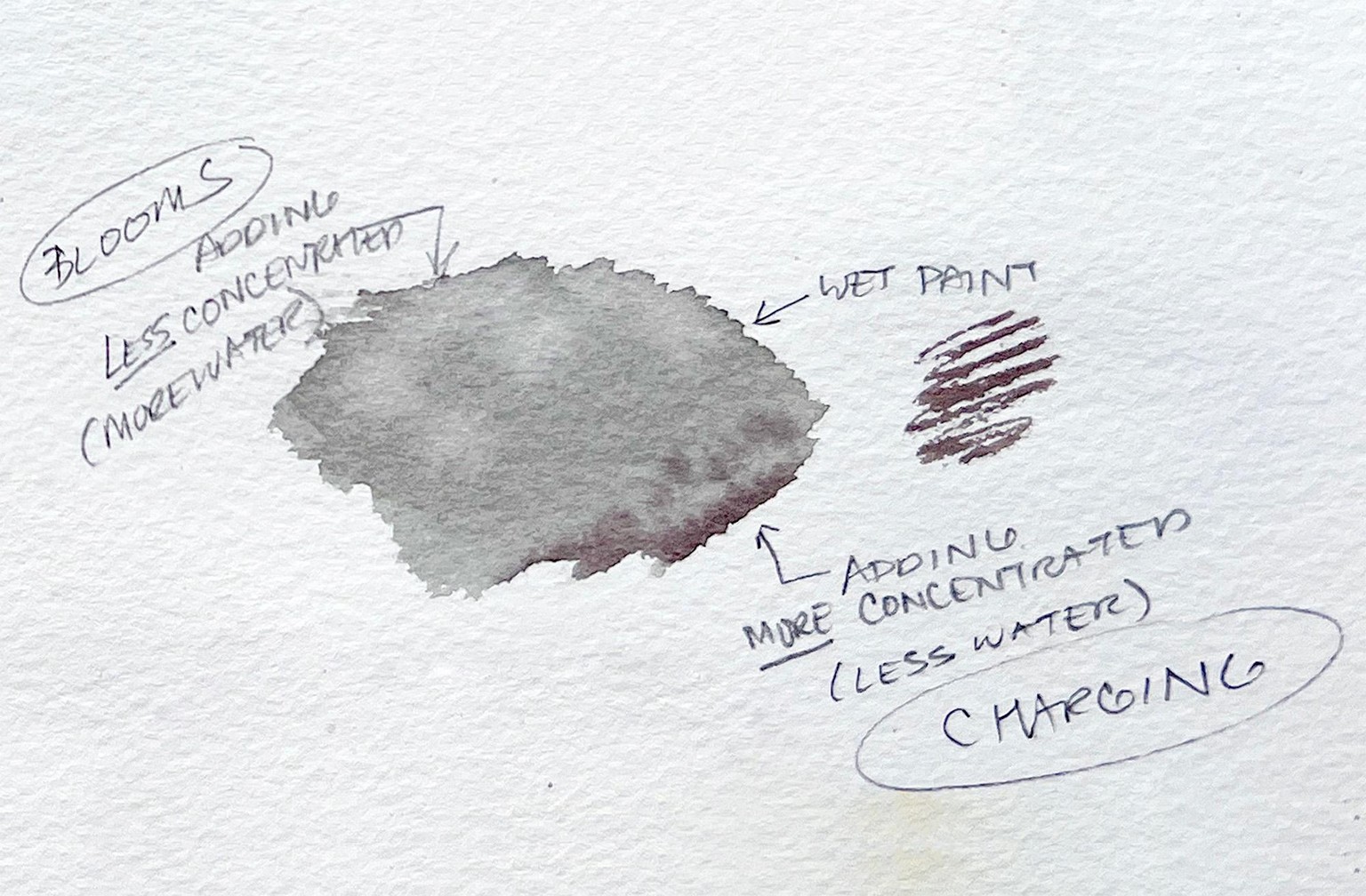 Jill's Projects - image 4 - student project