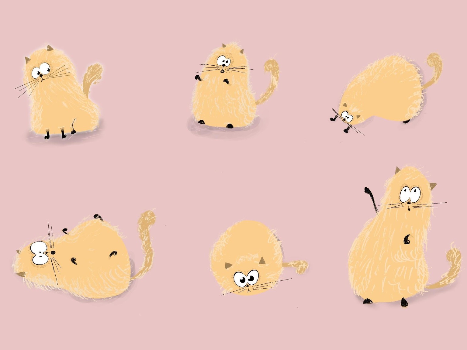 Cute Fluffy Cat - image 1 - student project
