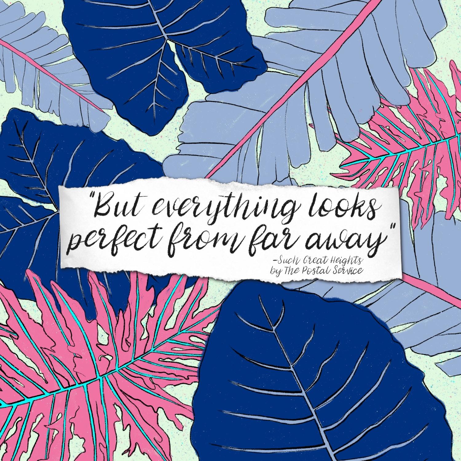 Botanical Drawings - image 3 - student project