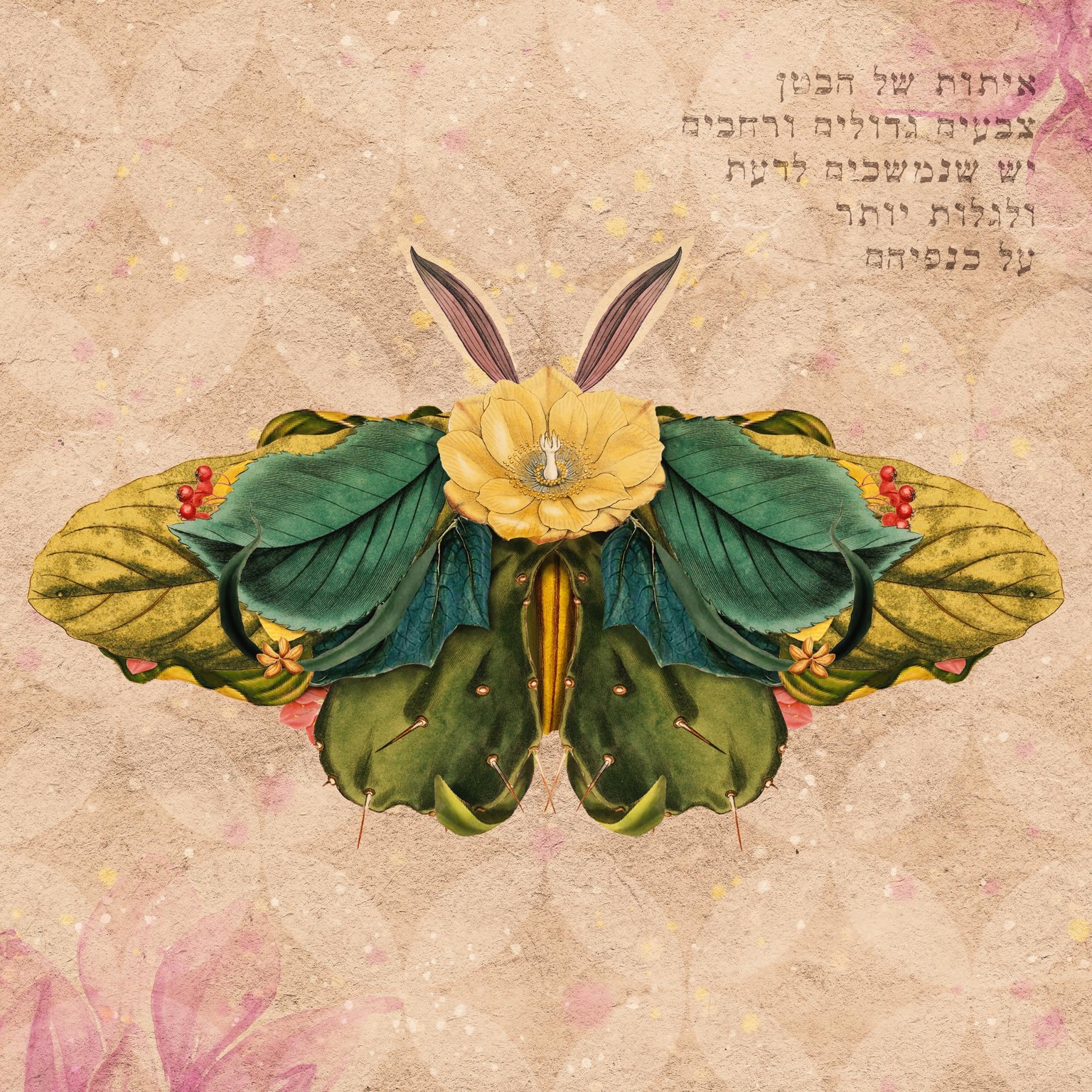 Butterfly - image 1 - student project
