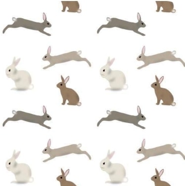Bunnies! - image 2 - student project