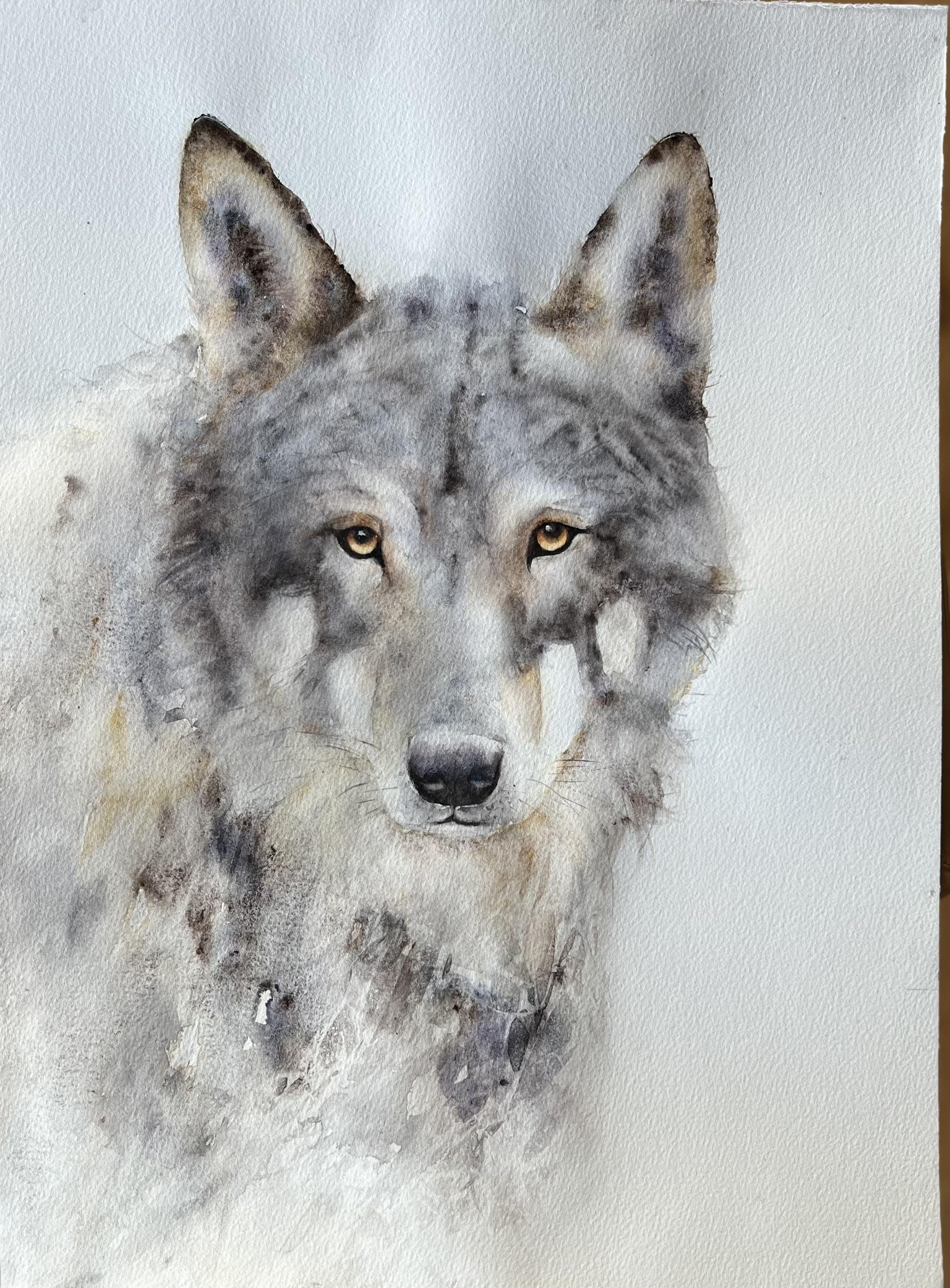 Wolf - image 1 - student project