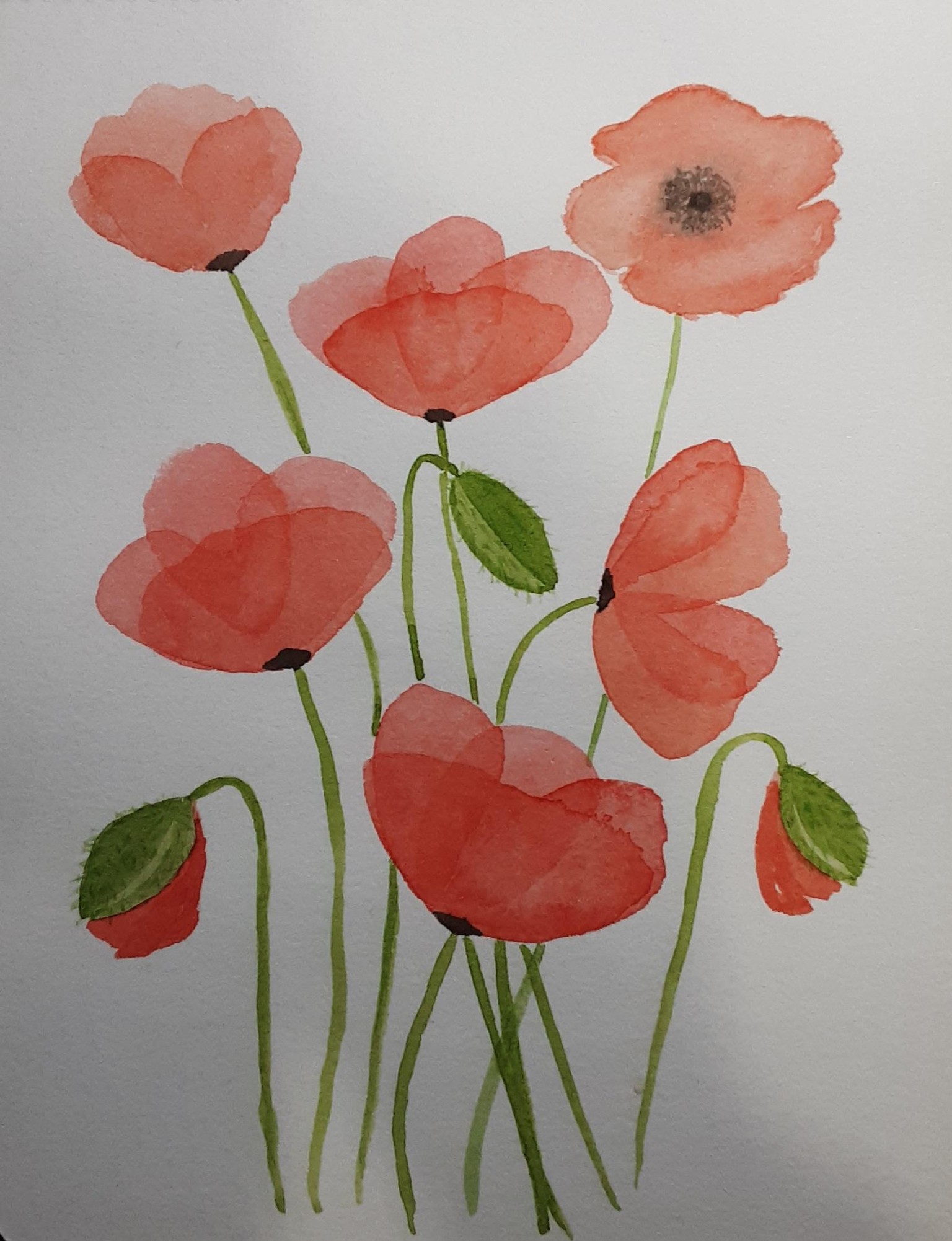 Watercolor Florals - image 1 - student project