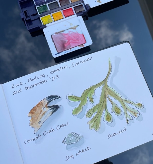 Autumn Nature Journal - image 1 - student project