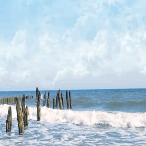 New years dive - image 1 - student project