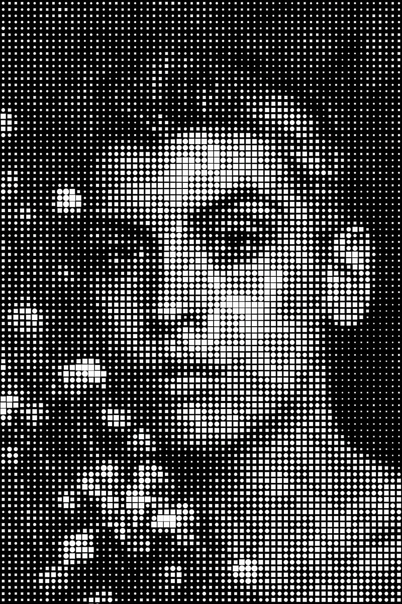Halftone  Portraits - All Straight Photoshop - No Plugins - image 5 - student project