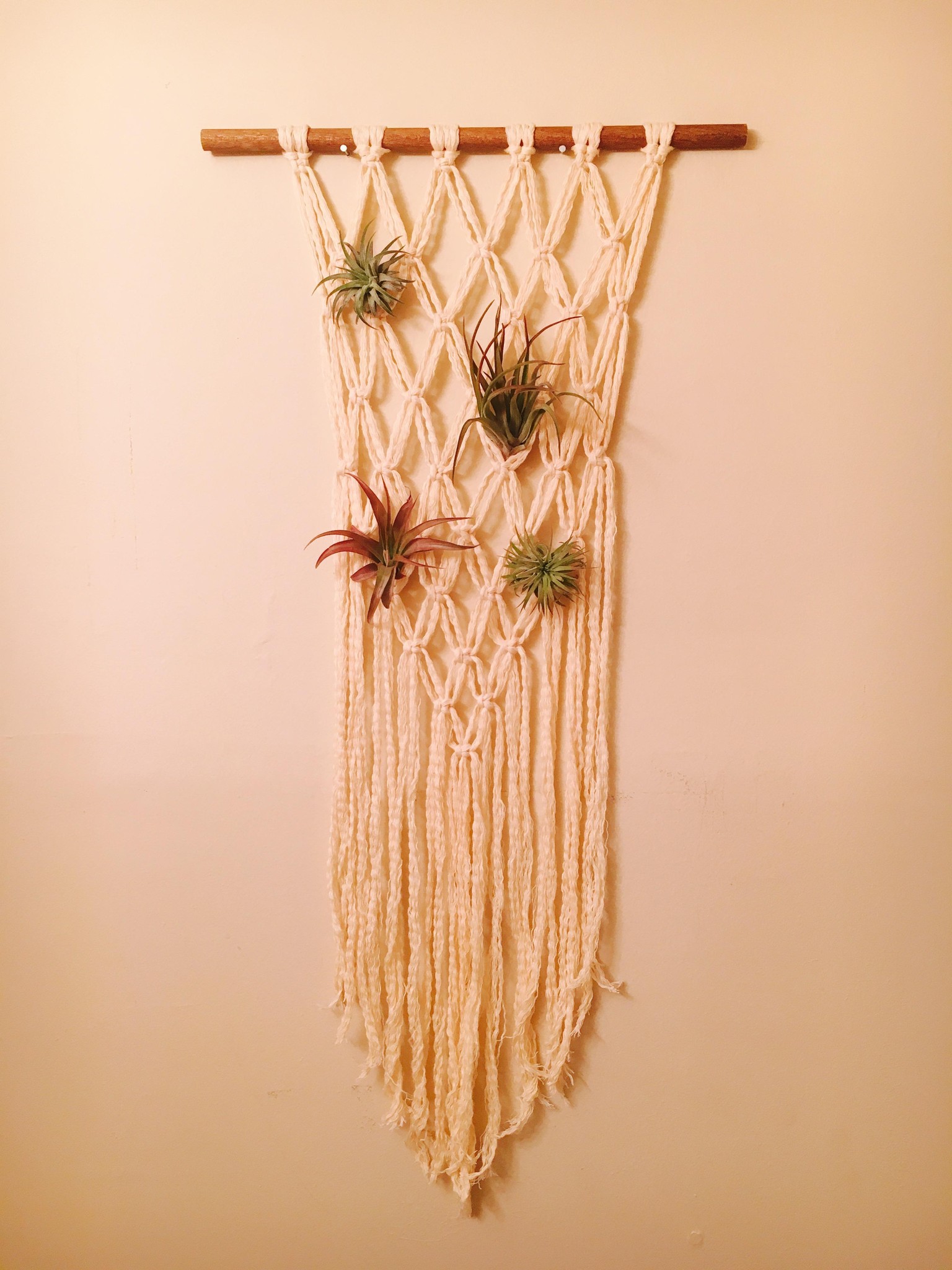 My First Macrame Wall Hanging! - image 1 - student project