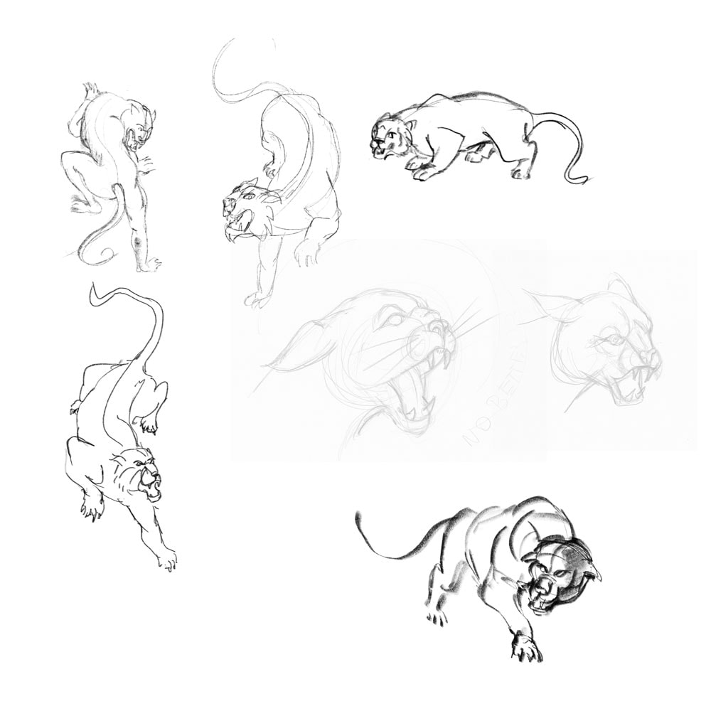 Cougar handdrawn style - image 1 - student project
