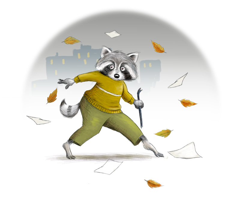 Racoon - image 6 - student project