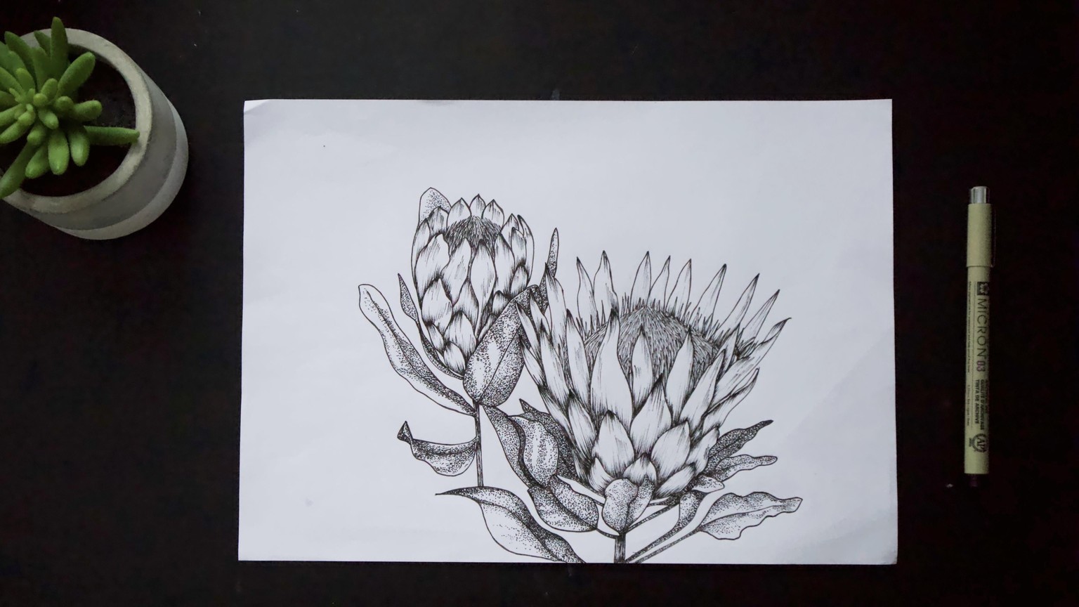 The Proteas - image 1 - student project