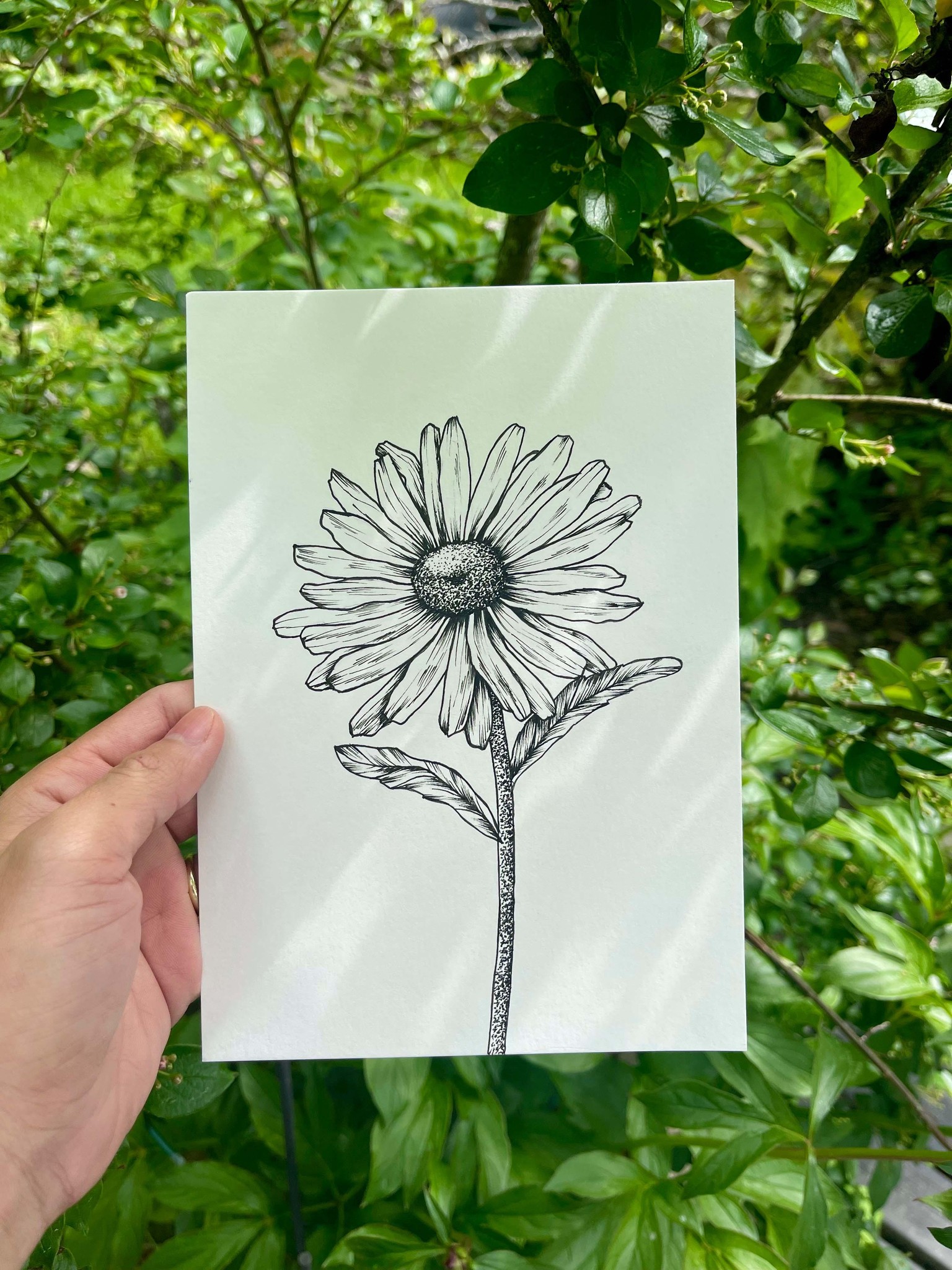 Daisy Project - image 1 - student project