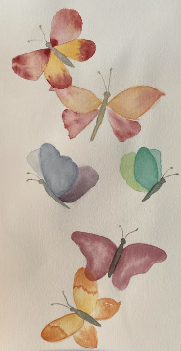 Butterfly Final Project & Exercises - image 1 - student project