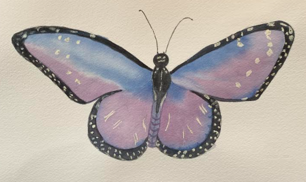 Butterfly Final Project & Exercises - image 2 - student project