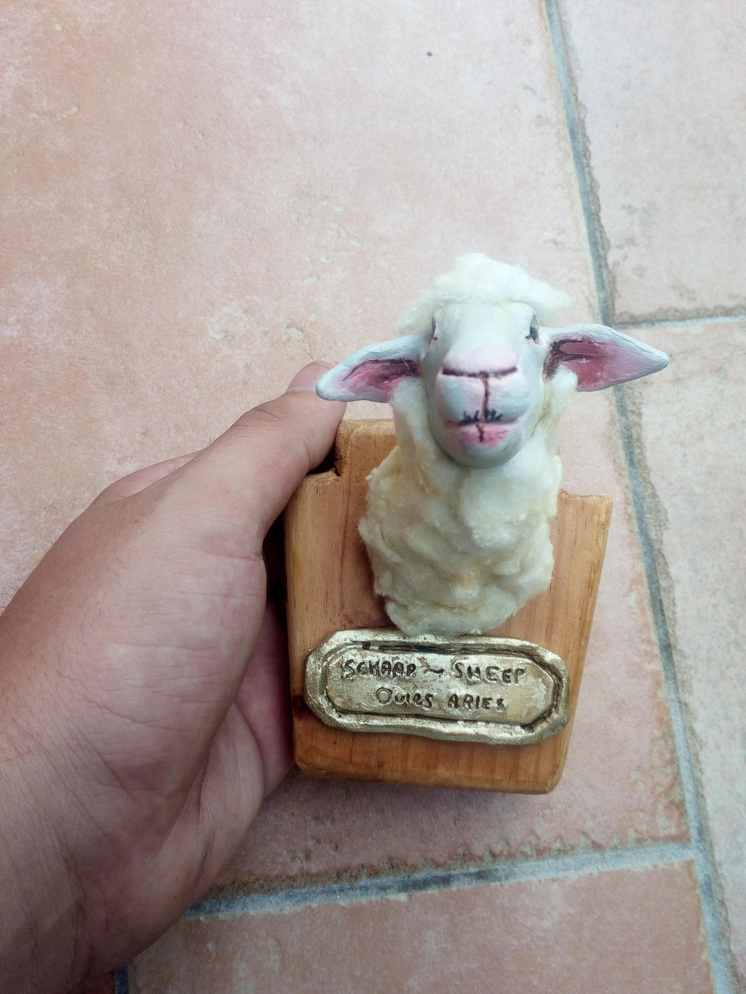 Museum Sheep Bust - image 11 - student project