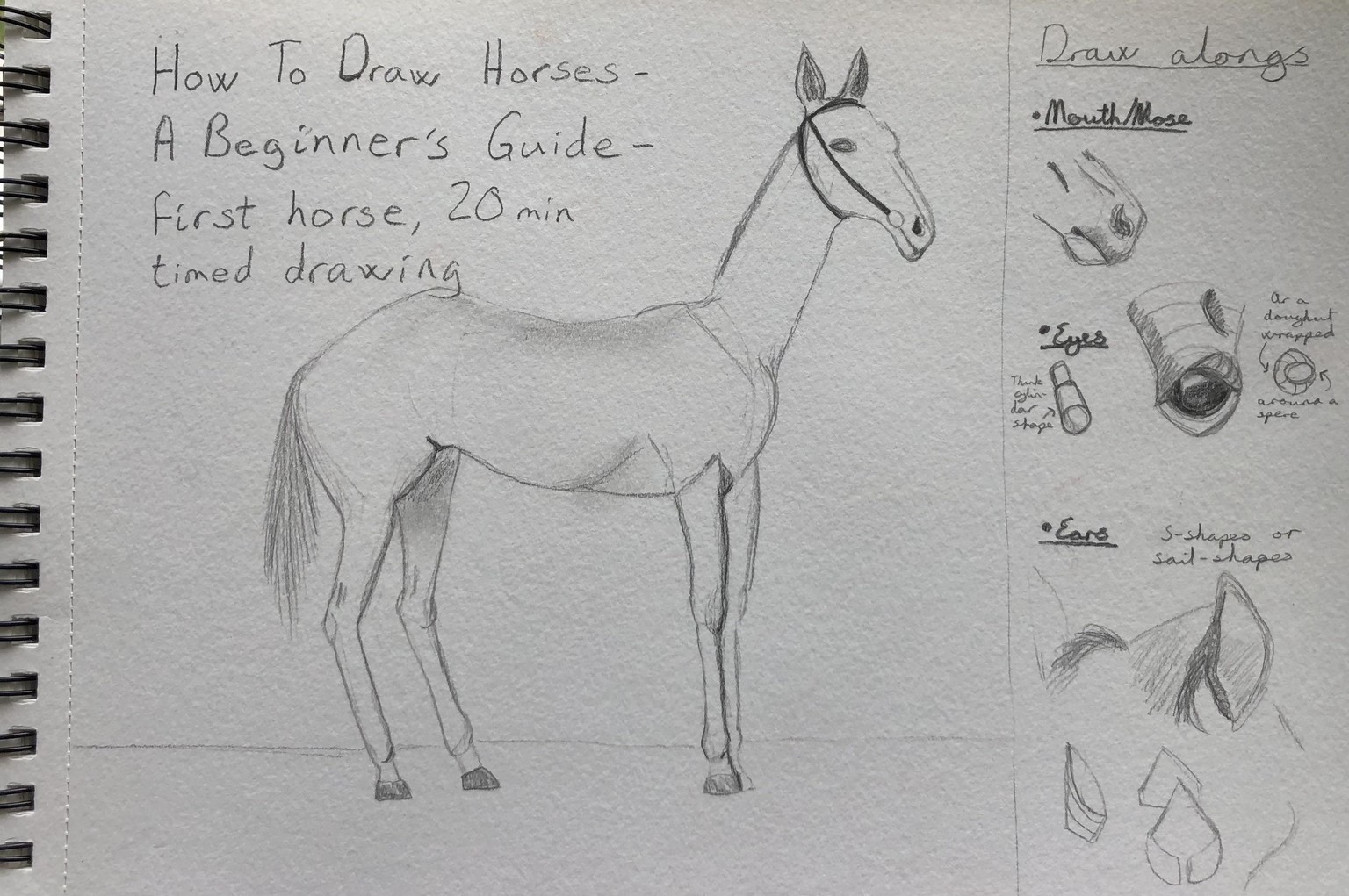 How To (Finally) Draw Horses - image 1 - student project