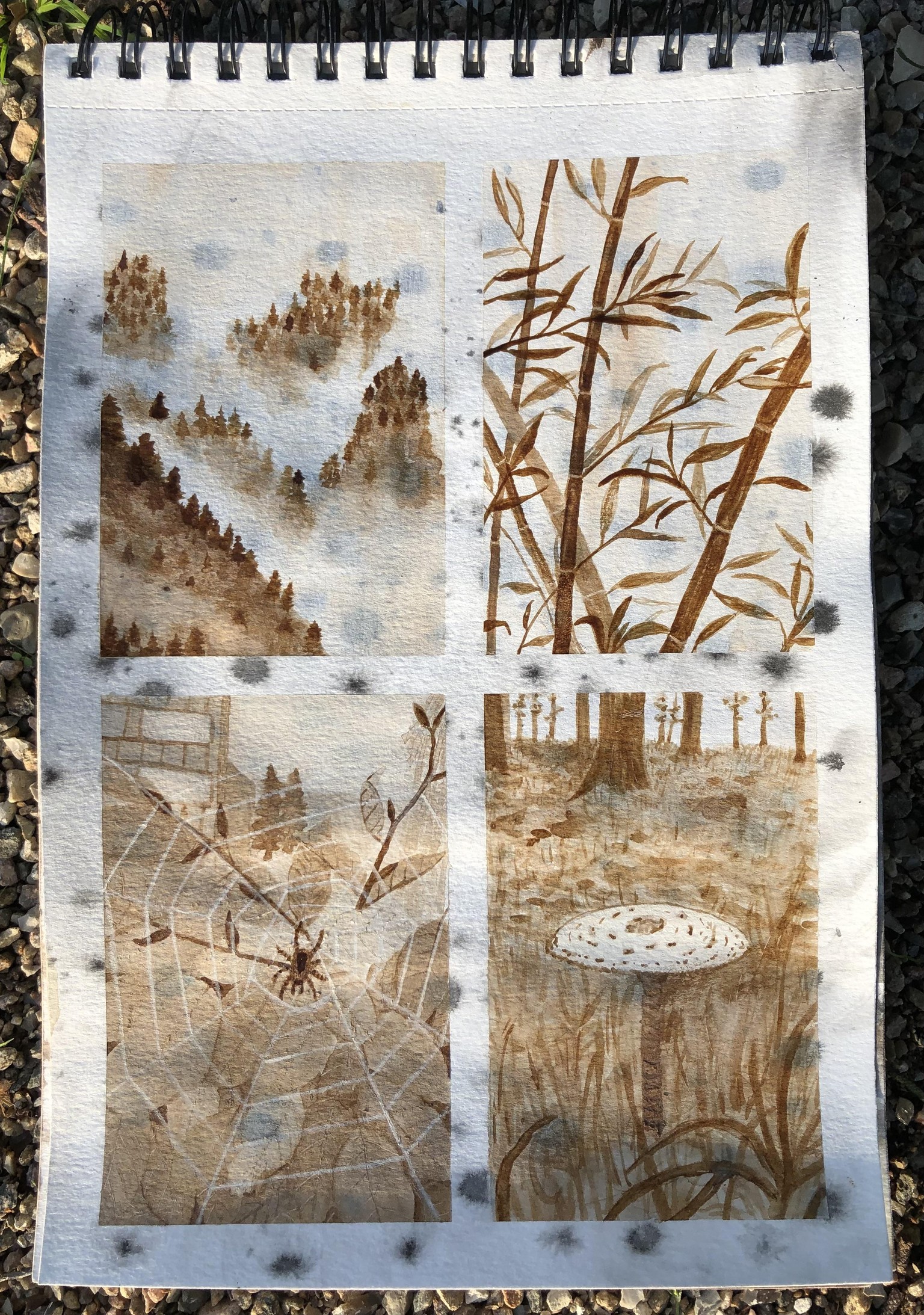 Mini Coffee Paintings - image 3 - student project