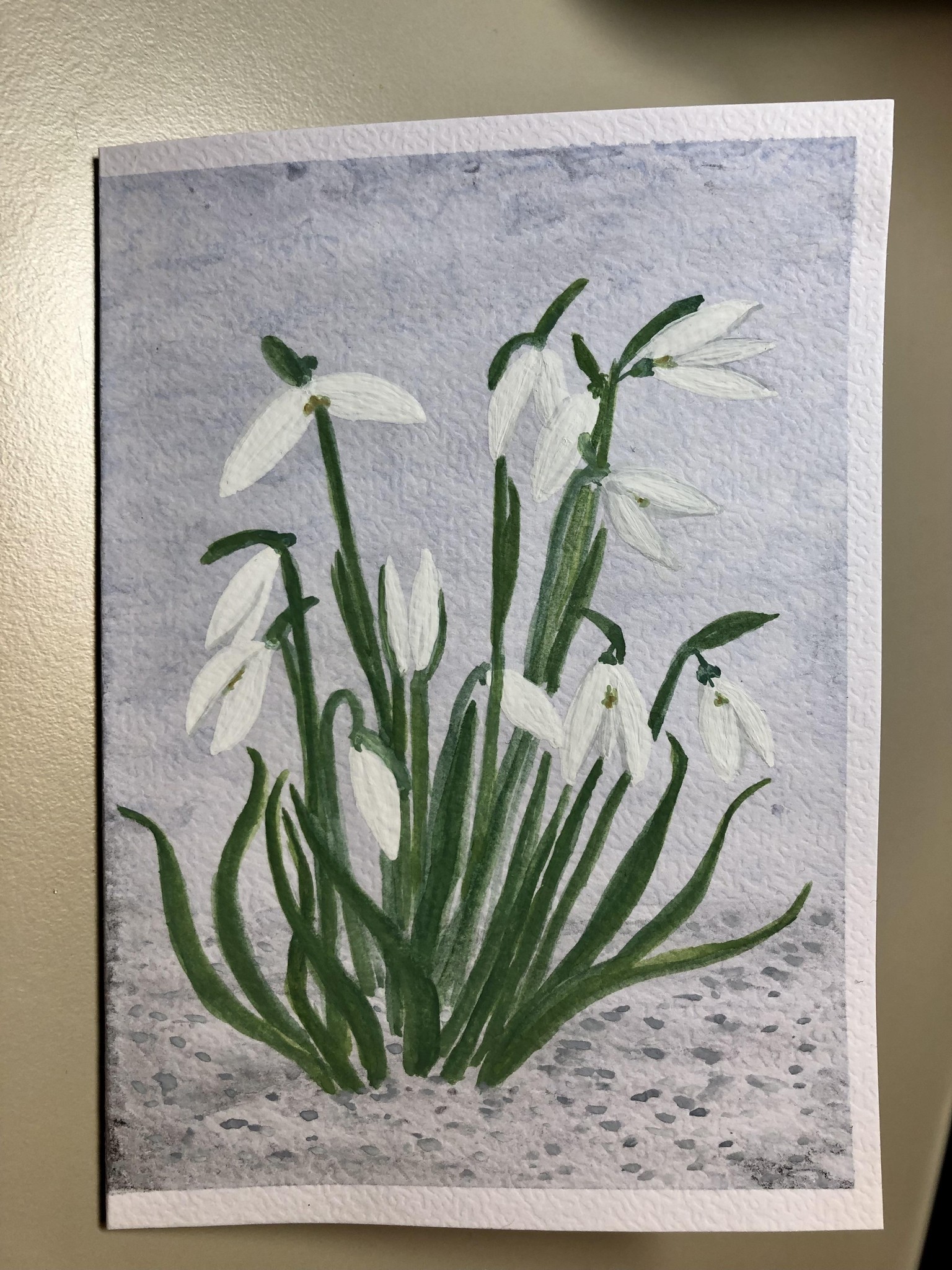 Snowdrops Practice - image 4 - student project