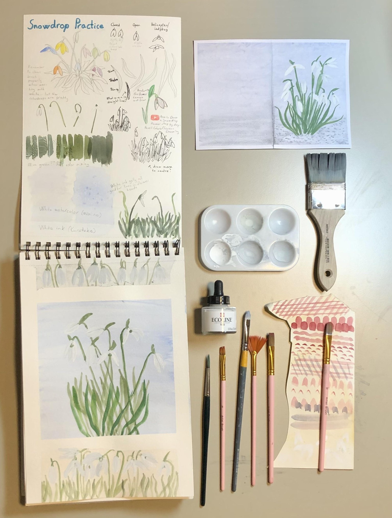Snowdrops Practice - image 2 - student project