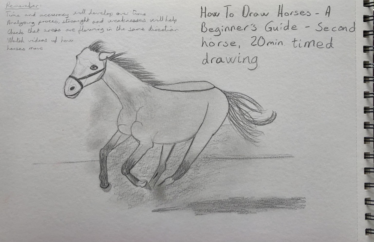How To (Finally) Draw Horses - image 2 - student project