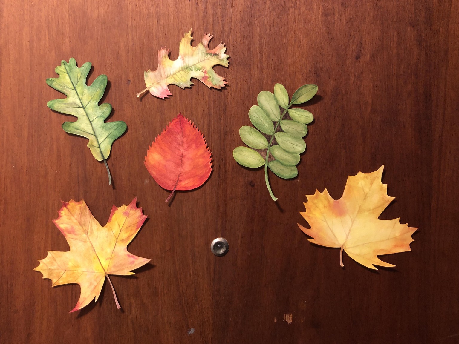 Autumn leaves - image 1 - student project