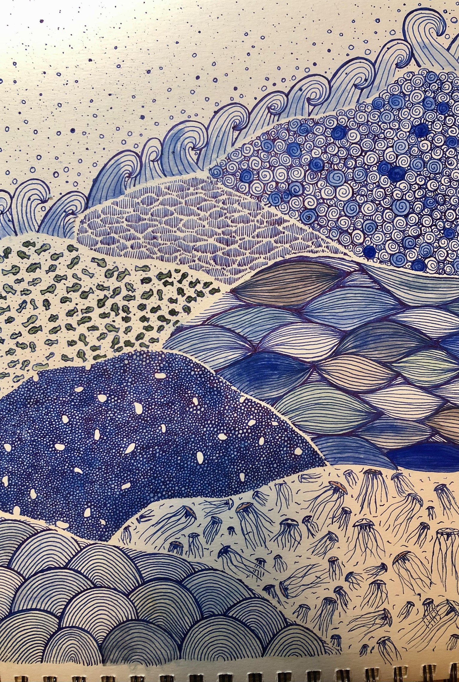 My Ocean Doodles - image 2 - student project