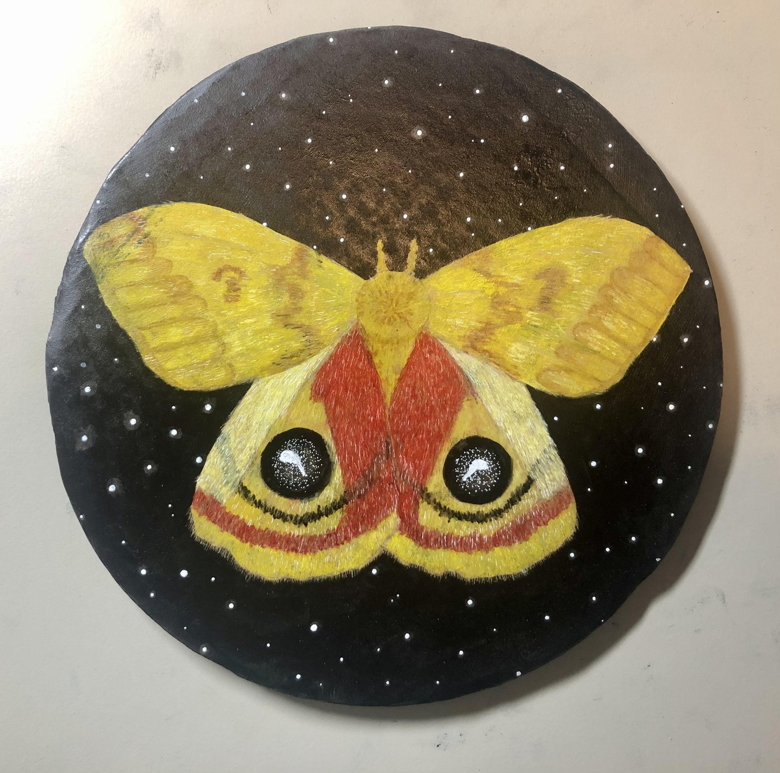 Painted Moths - image 2 - student project