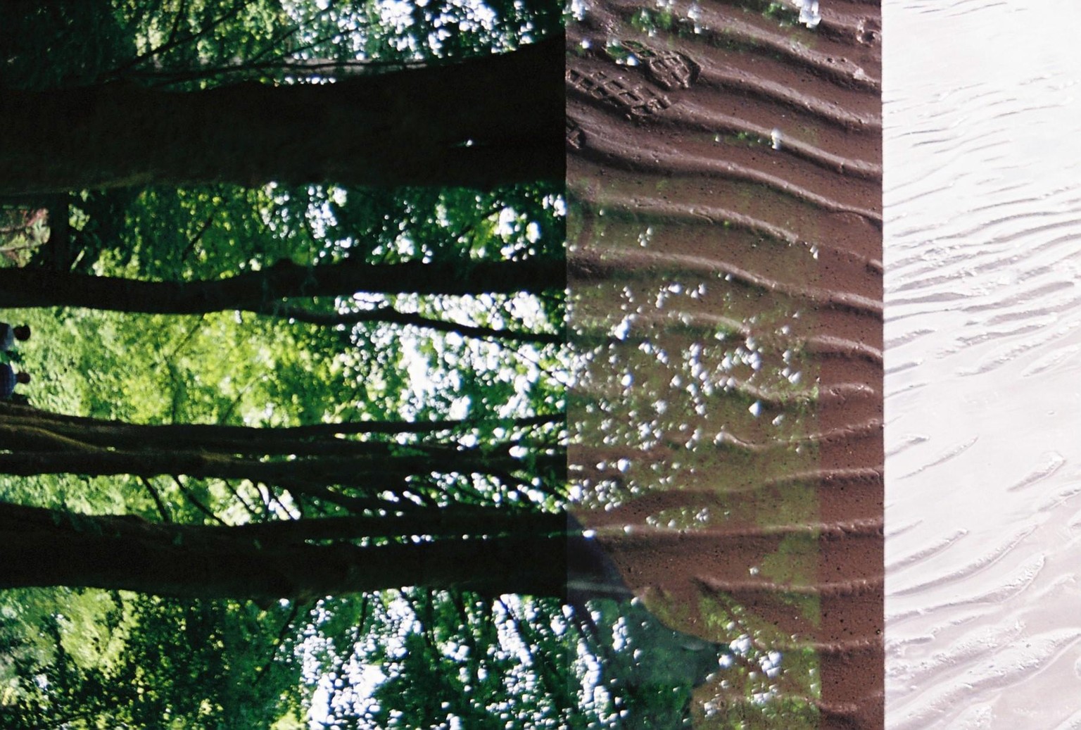 Nina Loncar - image 8 - student project