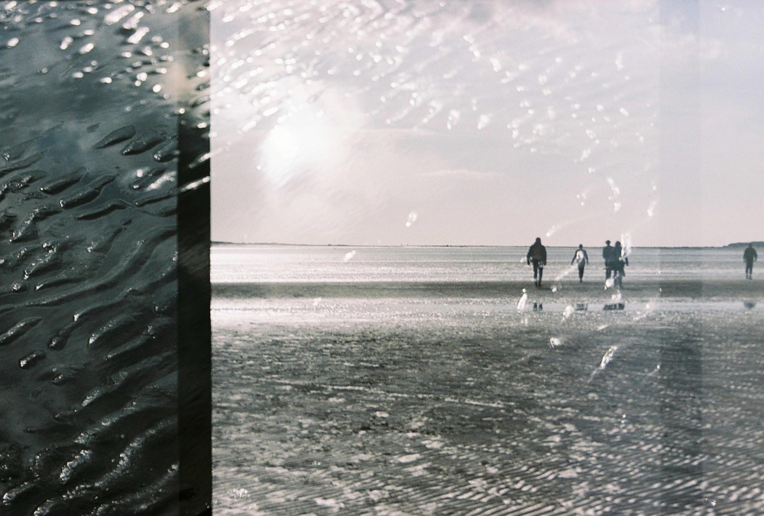 Nina Loncar - image 9 - student project