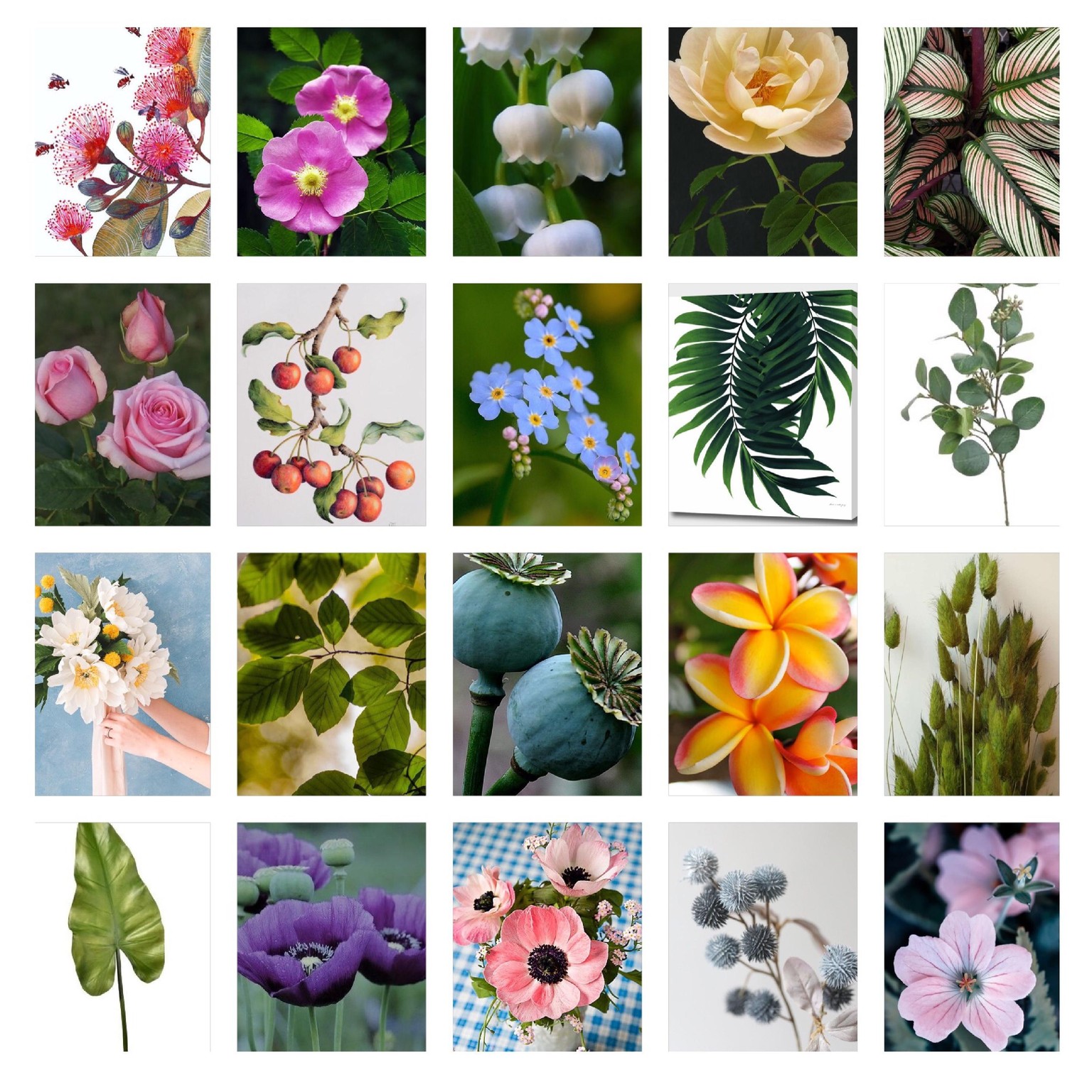Botanical Illustration - image 1 - student project