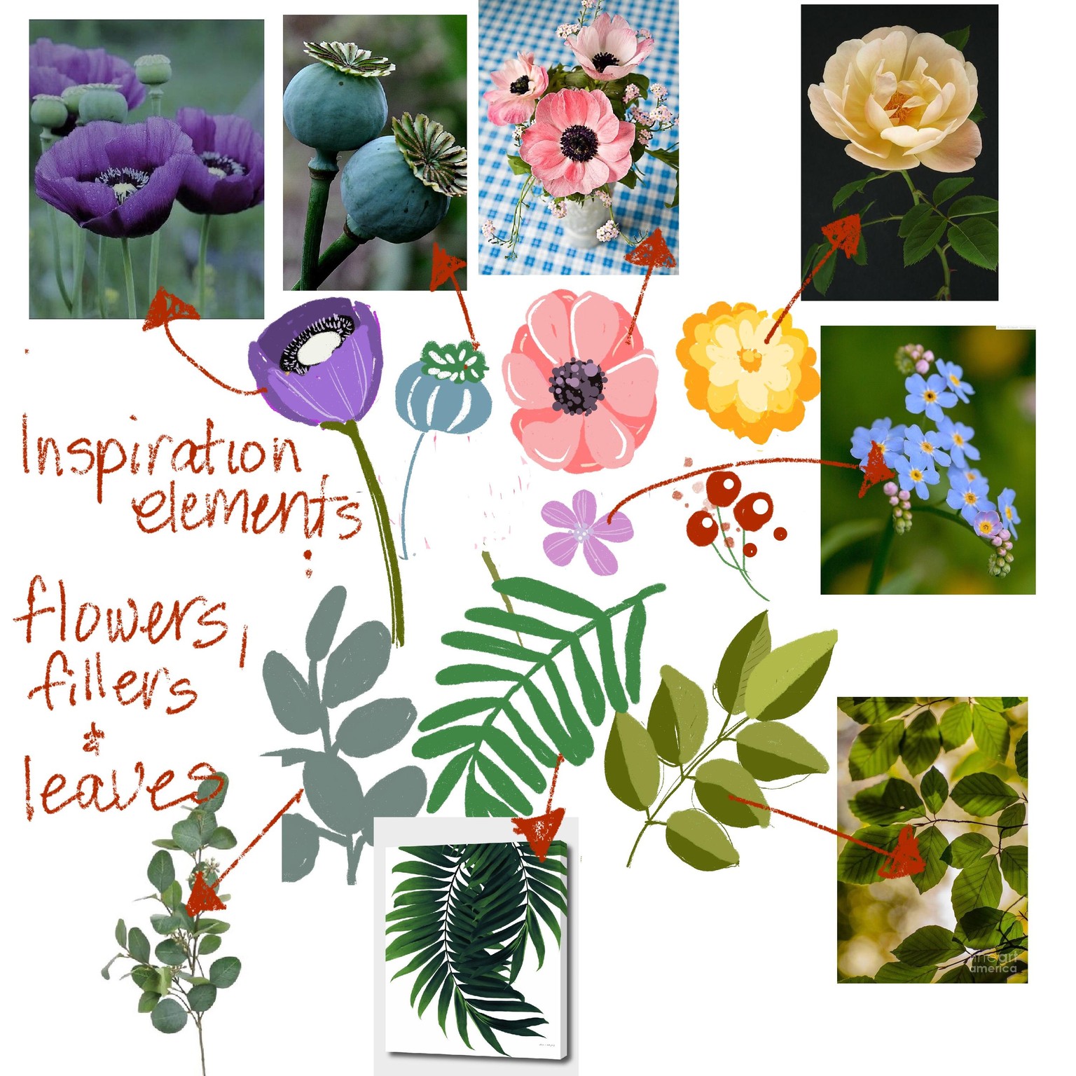 Botanical Illustration - image 2 - student project