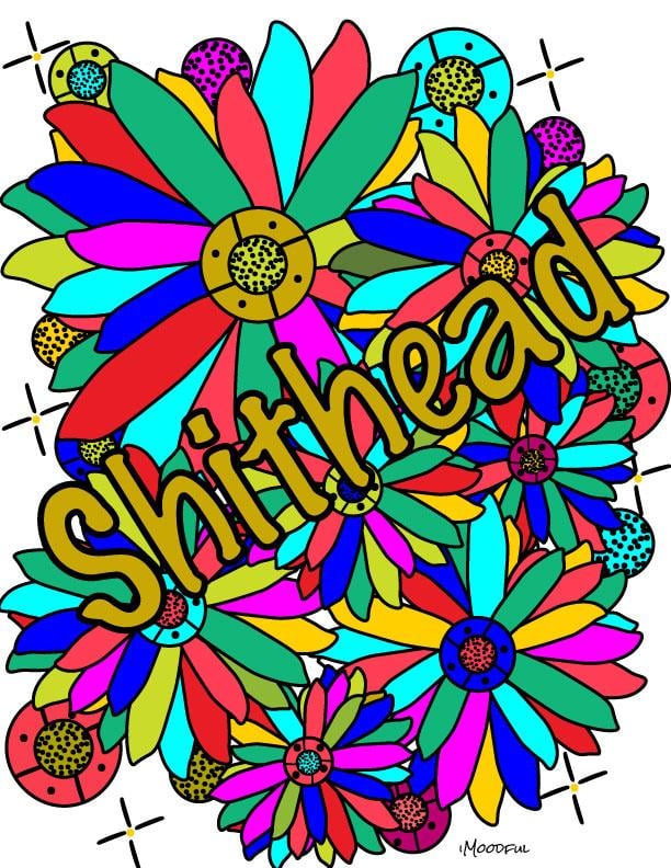 Shithead - image 2 - student project