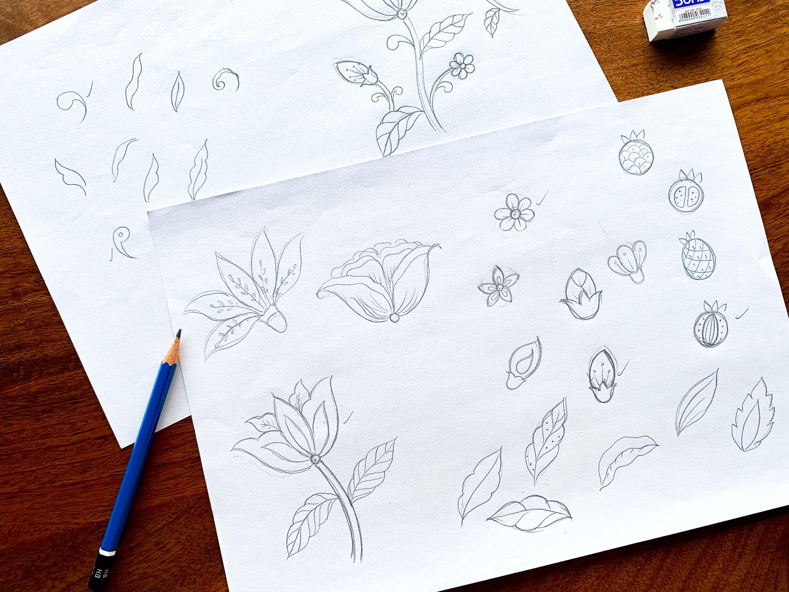 Botanical Illustration - image 1 - student project