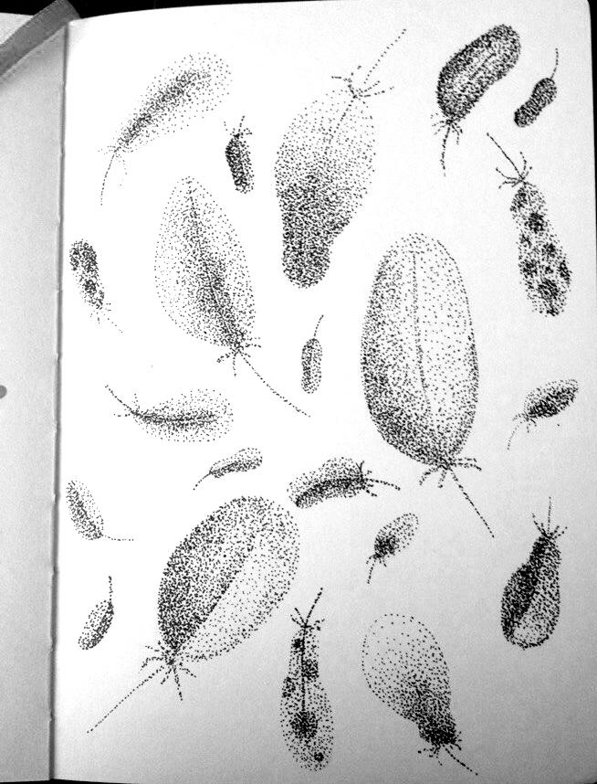 Shading with the Stippling Technique project - image 1 - student project