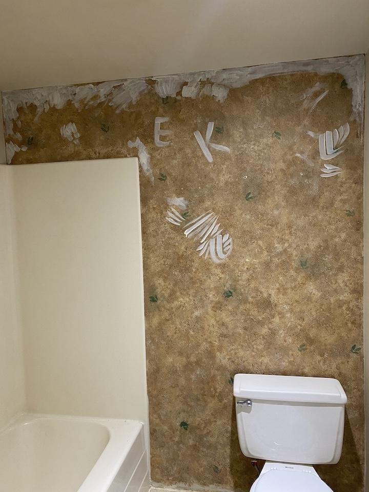 Bathroom Redo - image 1 - student project