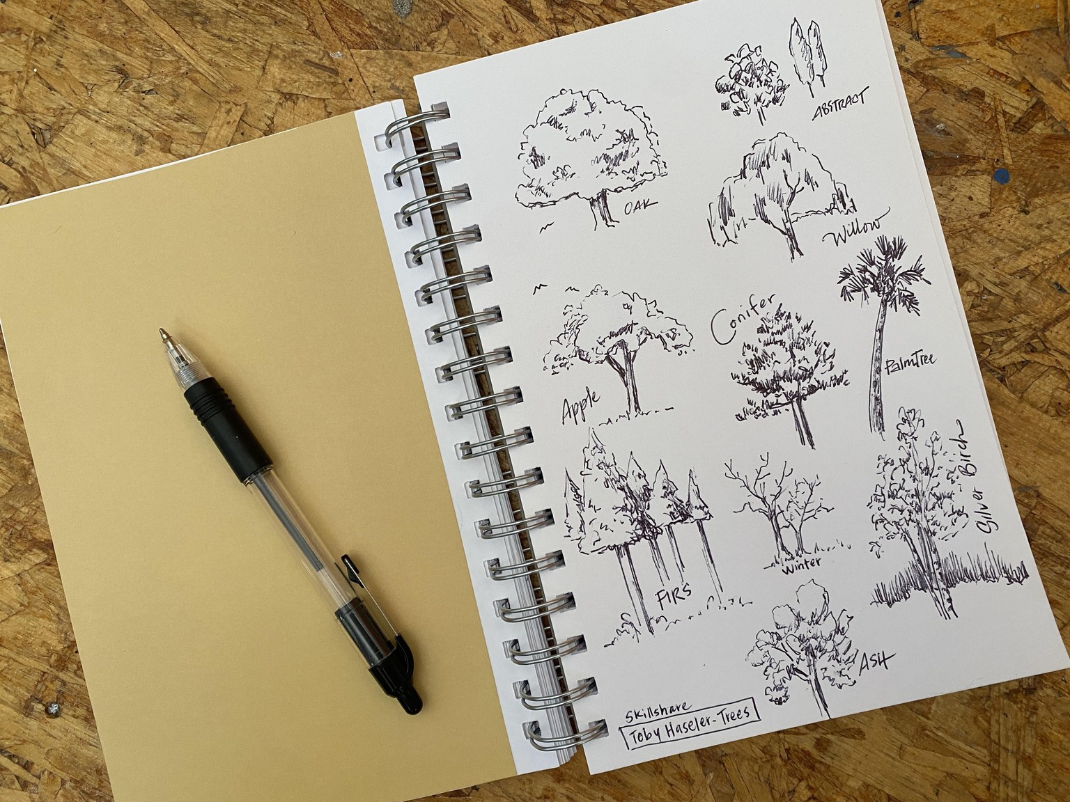 Sketching Trees - image 1 - student project