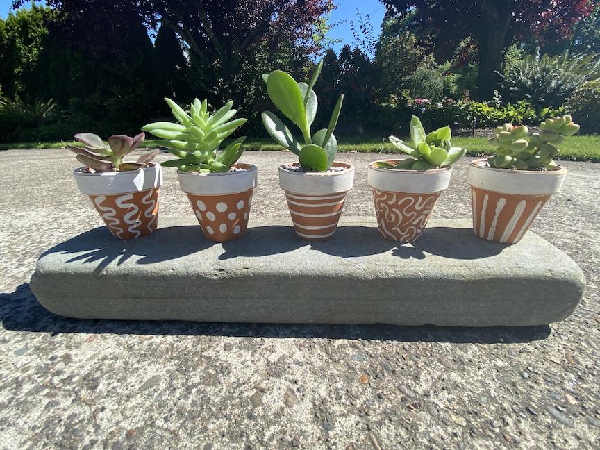 Succulent Table Arrangement - image 8 - student project