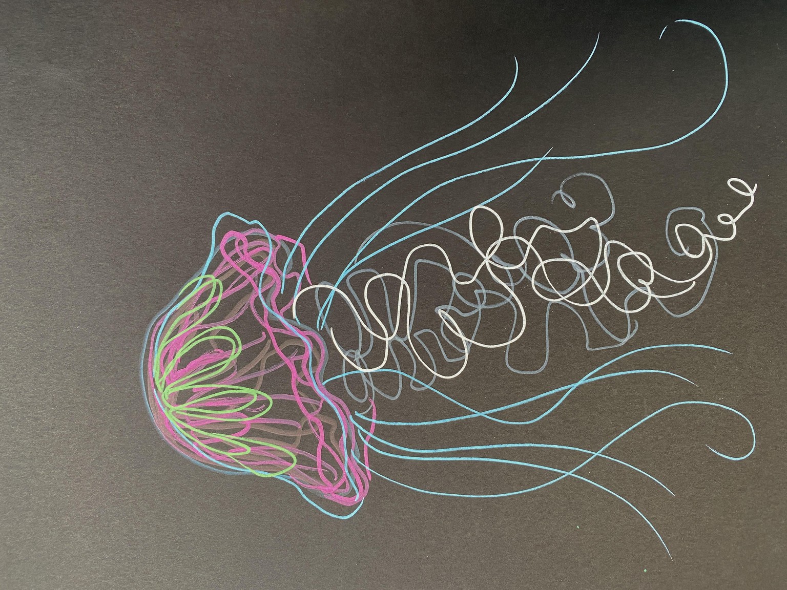 POSCA Jellyfish - image 1 - student project
