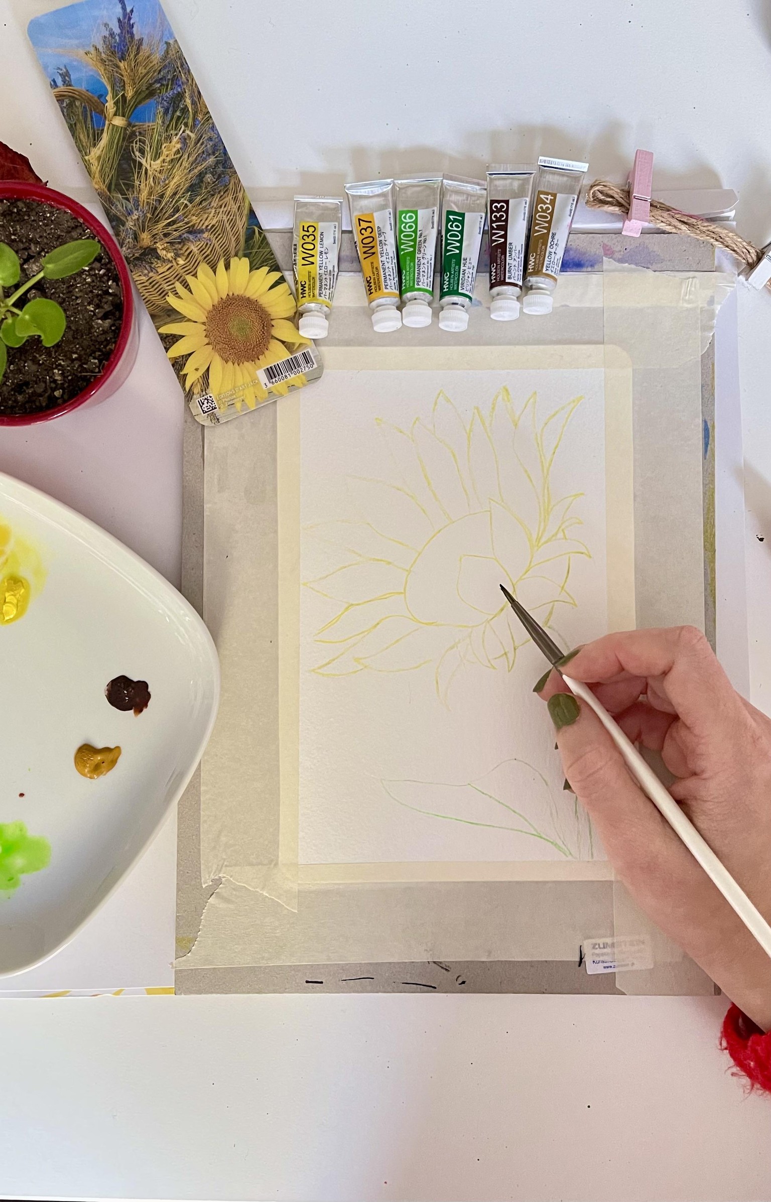 SAMPLE PROJECT: SUNFLOWERS - image 1 - student project