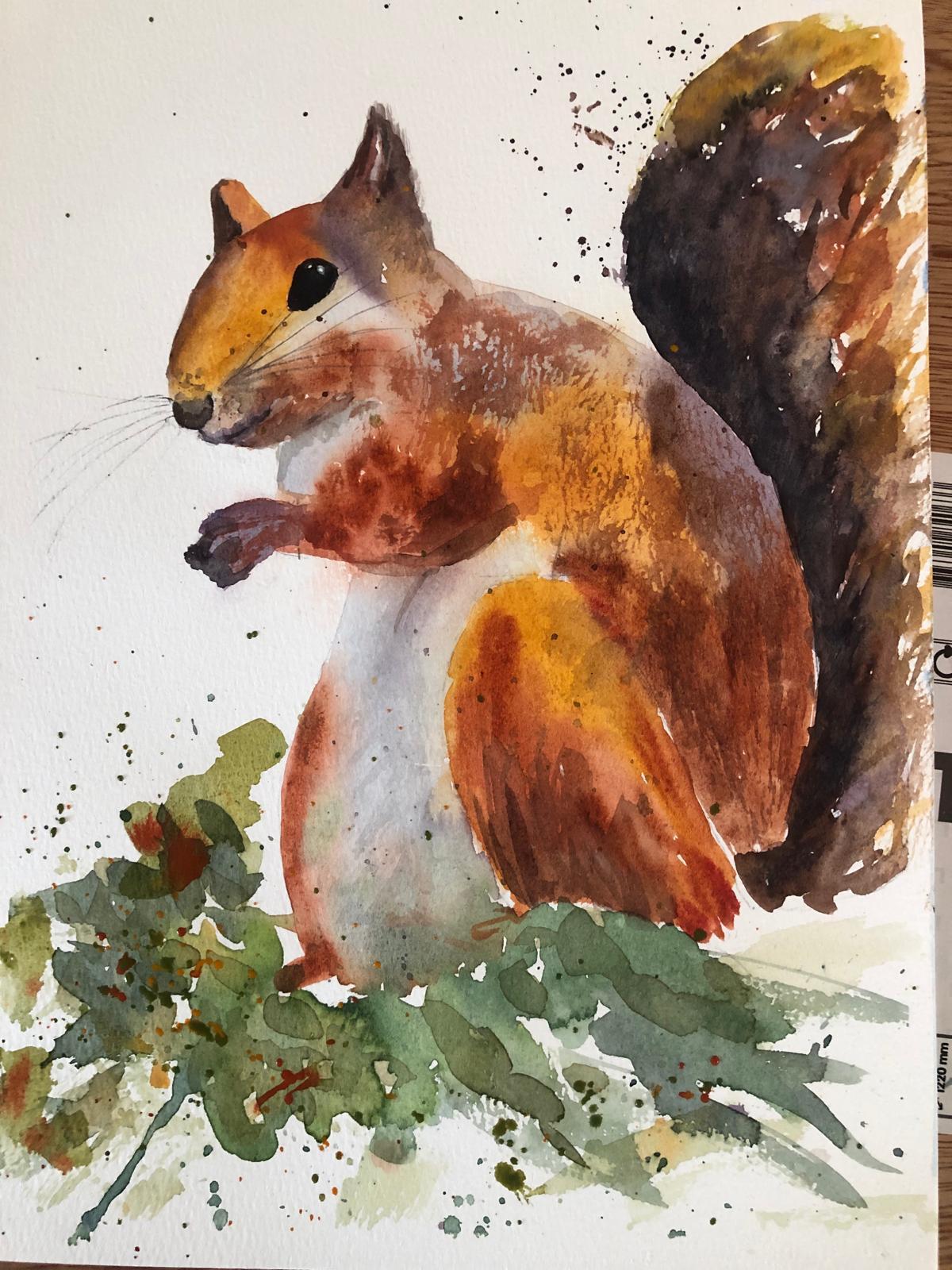 Red Squirrel - image 1 - student project
