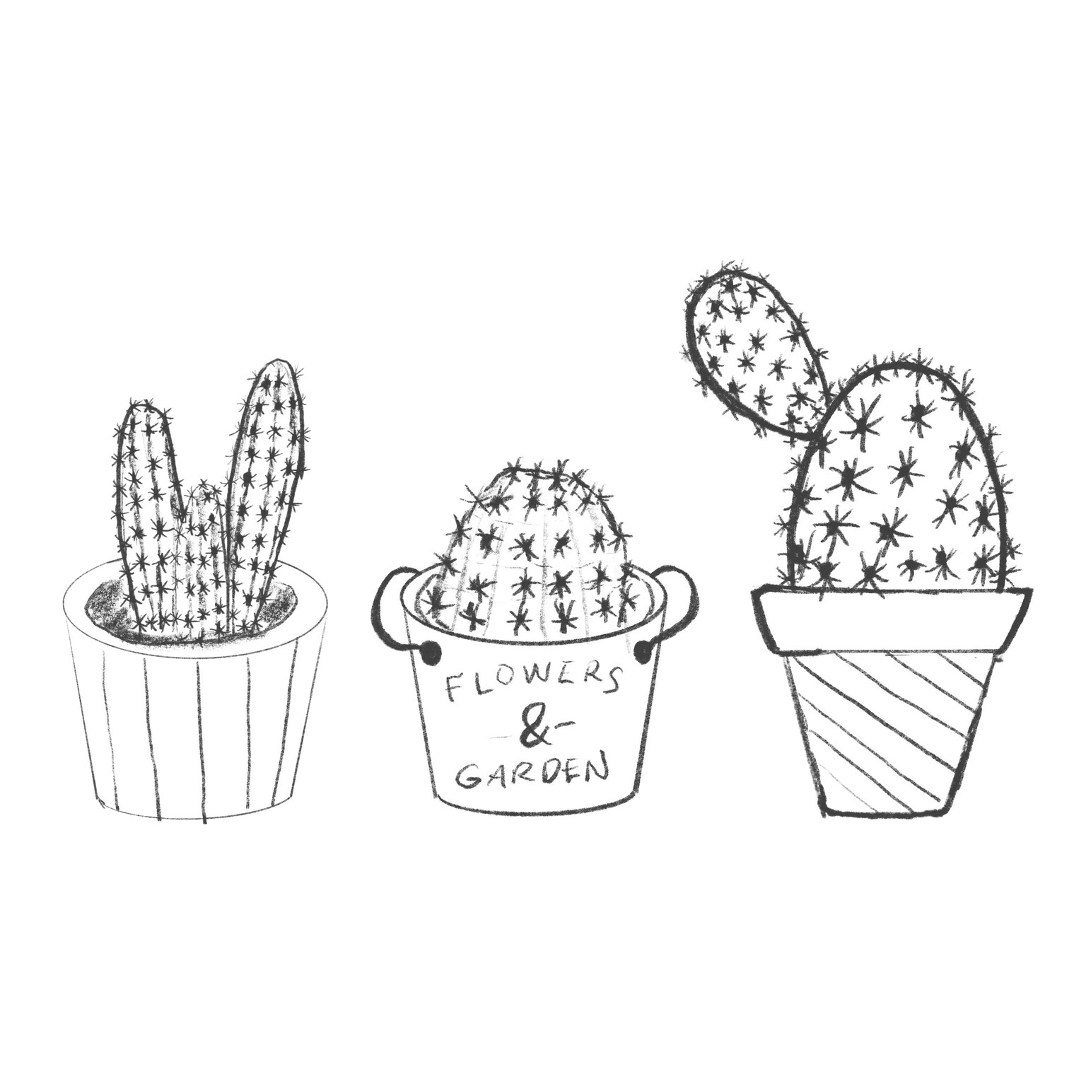 botanical illustration - image 2 - student project