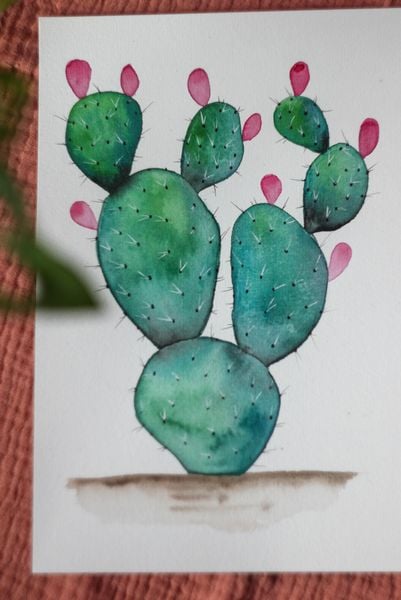 my cacti - image 1 - student project