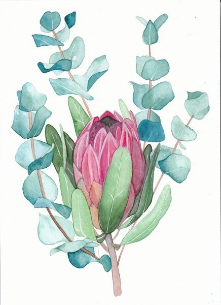 Protea art print and cacti pattern :) - image 1 - student project