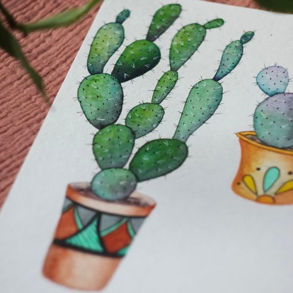 my cacti - image 2 - student project