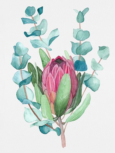 Protea art print and cacti pattern :) - image 2 - student project